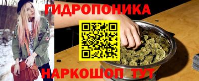 индика Канаш