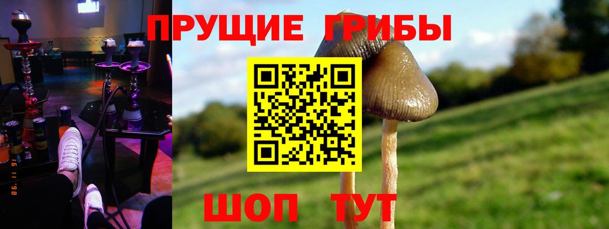 Галлюциногенные грибы Magic Shrooms  Вход с VPN  как найти закладки  Бугуруслан 